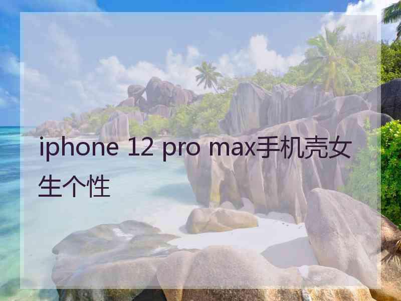 iphone 12 pro max手机壳女生个性