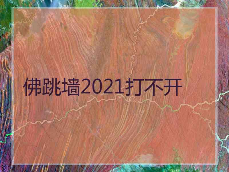 佛跳墙2021打不开