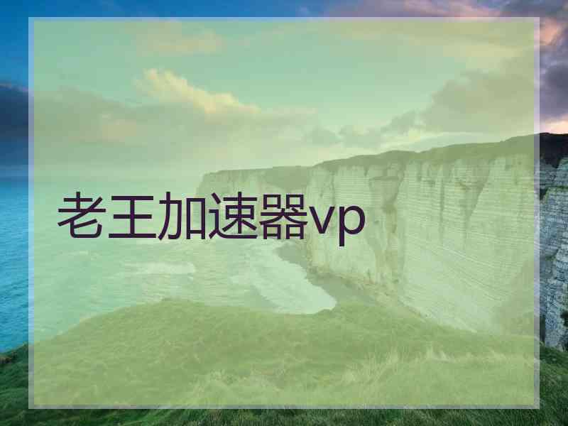 老王加速器vp