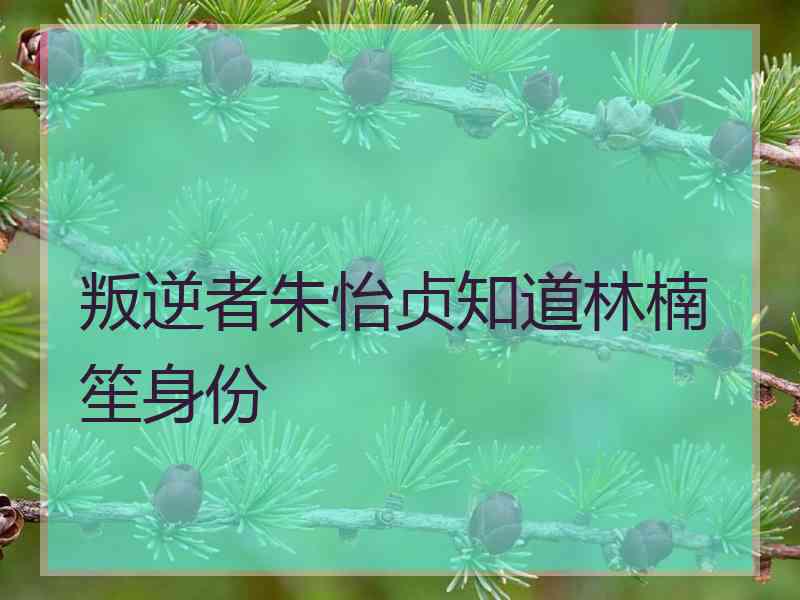 叛逆者朱怡贞知道林楠笙身份