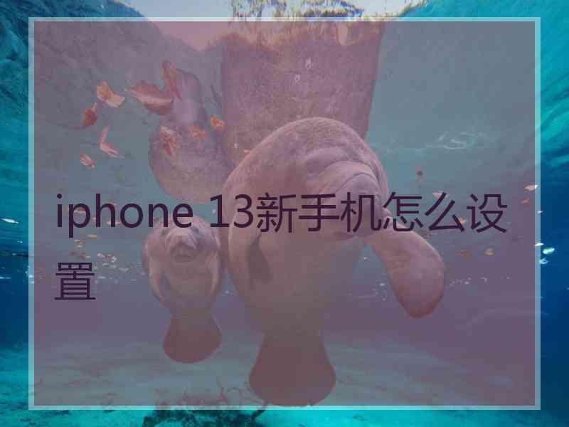 iphone 13新手机怎么设置