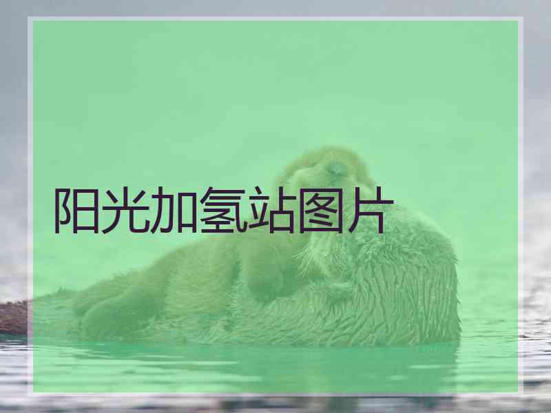 阳光加氢站图片