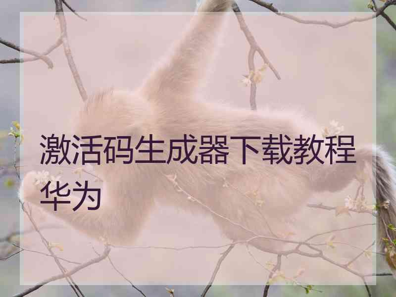 激活码生成器下载教程华为