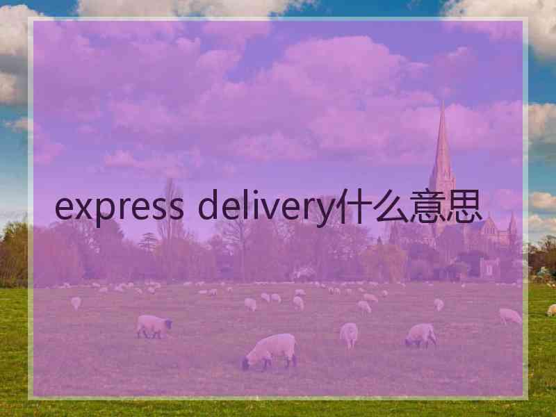 express delivery什么意思