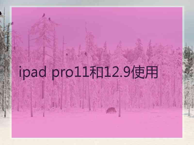 ipad pro11和12.9使用