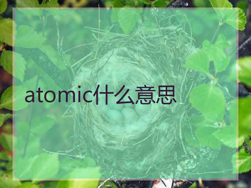 atomic什么意思