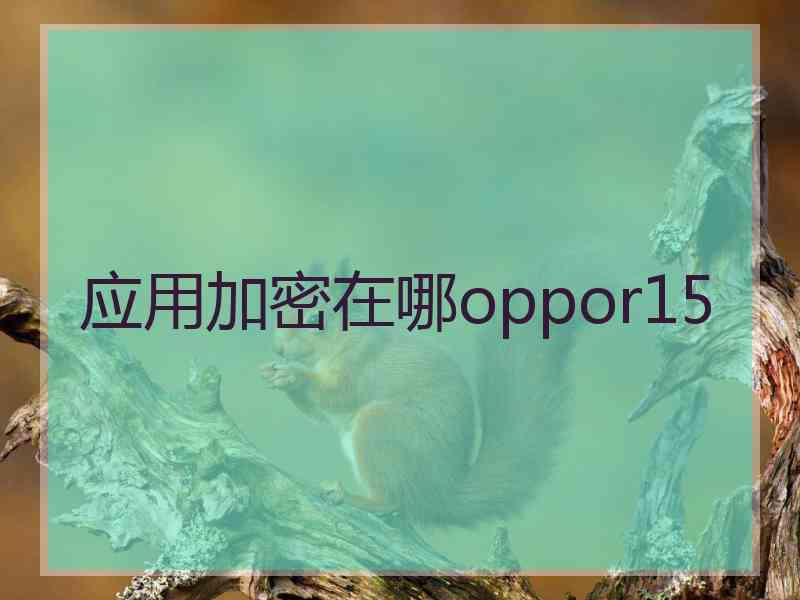 应用加密在哪oppor15