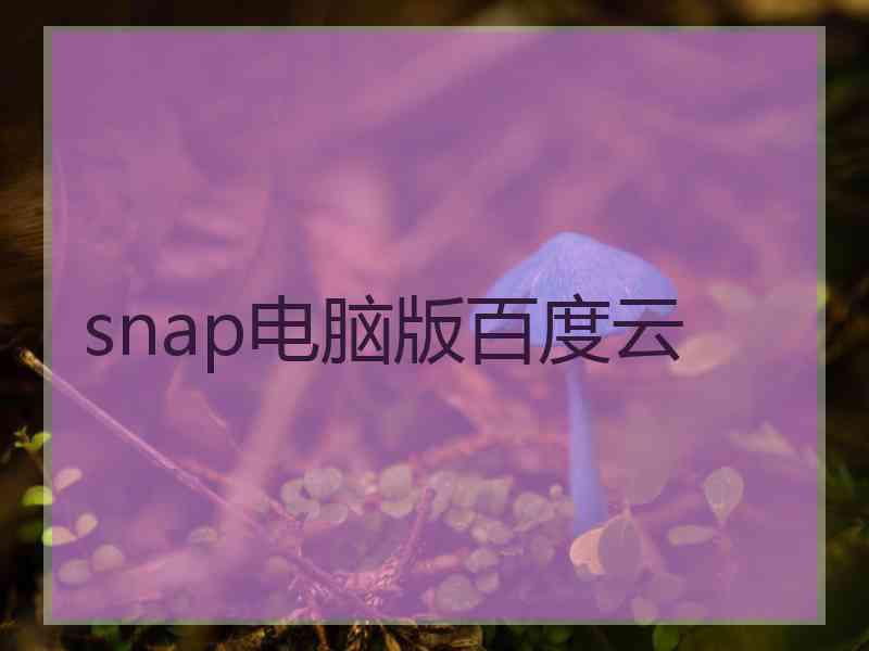 snap电脑版百度云