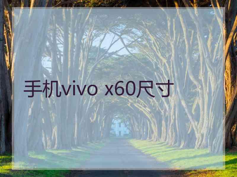 手机vivo x60尺寸