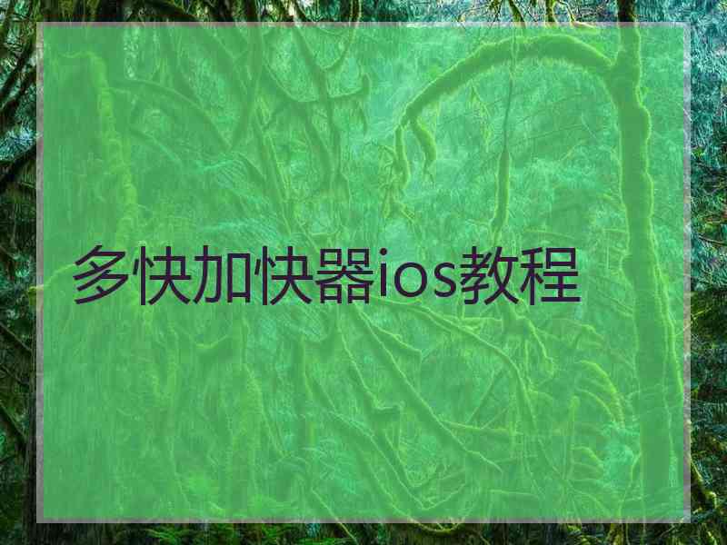 多快加快器ios教程