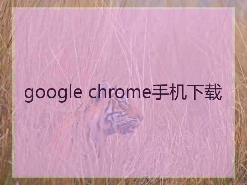 google chrome手机下载