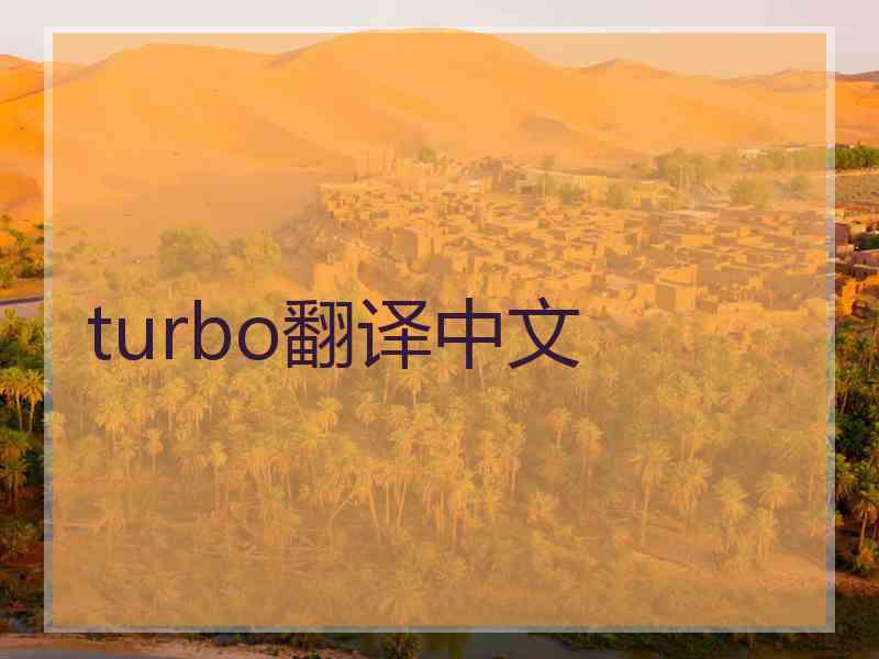 turbo翻译中文