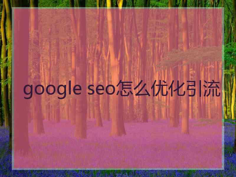 google seo怎么优化引流