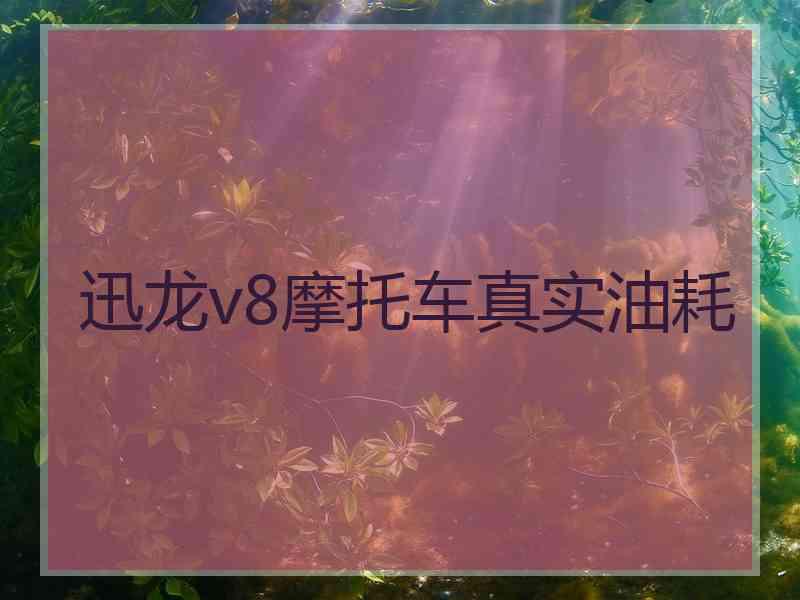 迅龙v8摩托车真实油耗