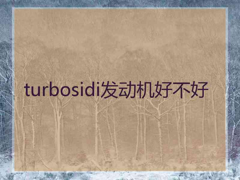 turbosidi发动机好不好