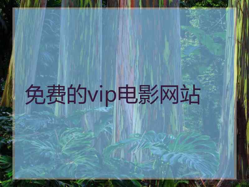 免费的vip电影网站