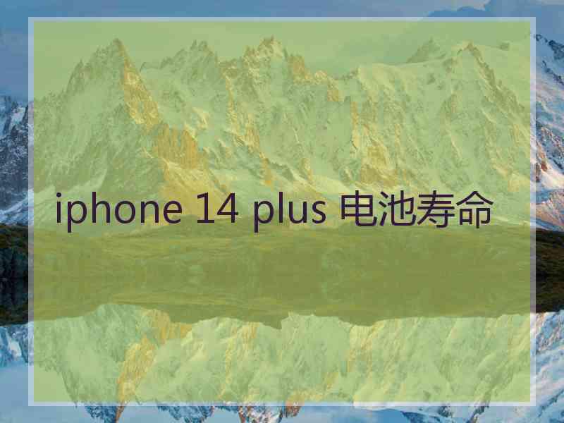 iphone 14 plus 电池寿命