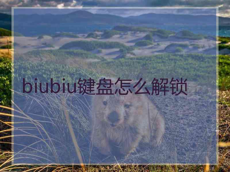 biubiu键盘怎么解锁