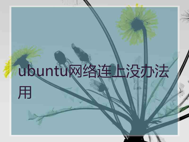 ubuntu网络连上没办法用