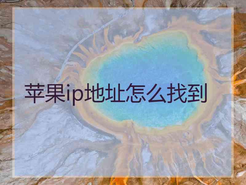 苹果ip地址怎么找到