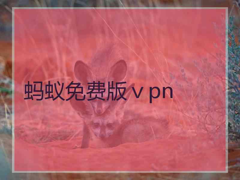 蚂蚁免费版ⅴpn