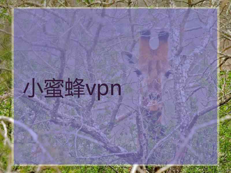 小蜜蜂vpn