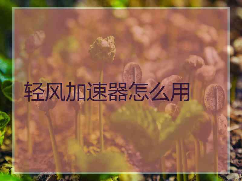 轻风加速器怎么用