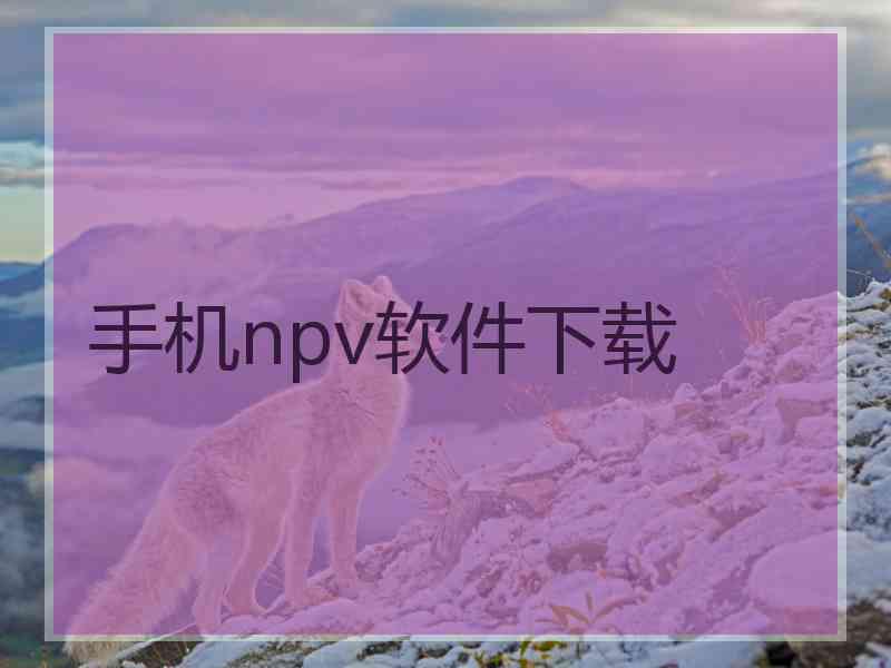 手机npv软件下载