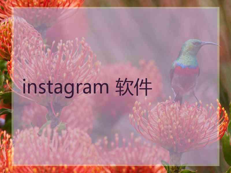 instagram 软件