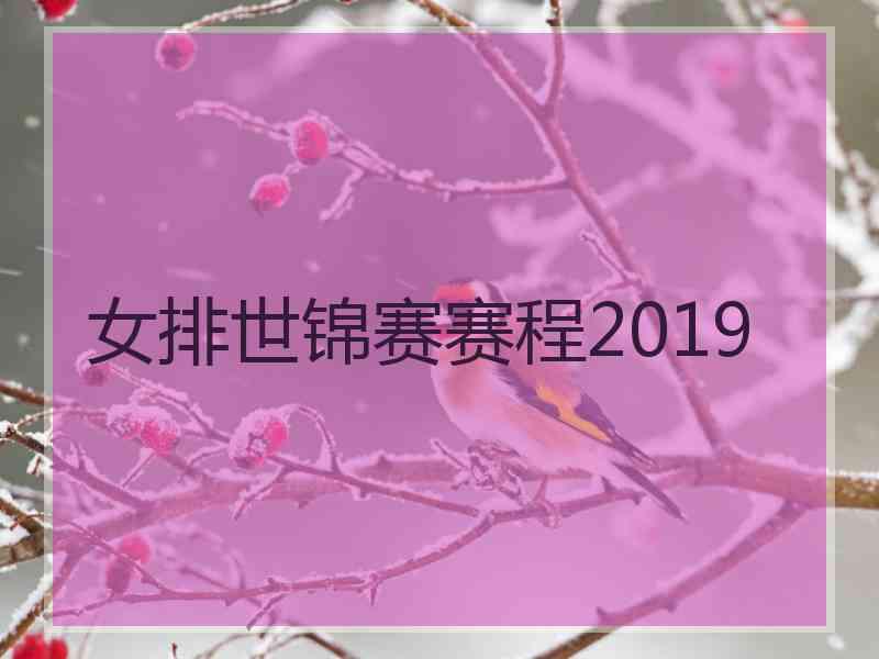 女排世锦赛赛程2019