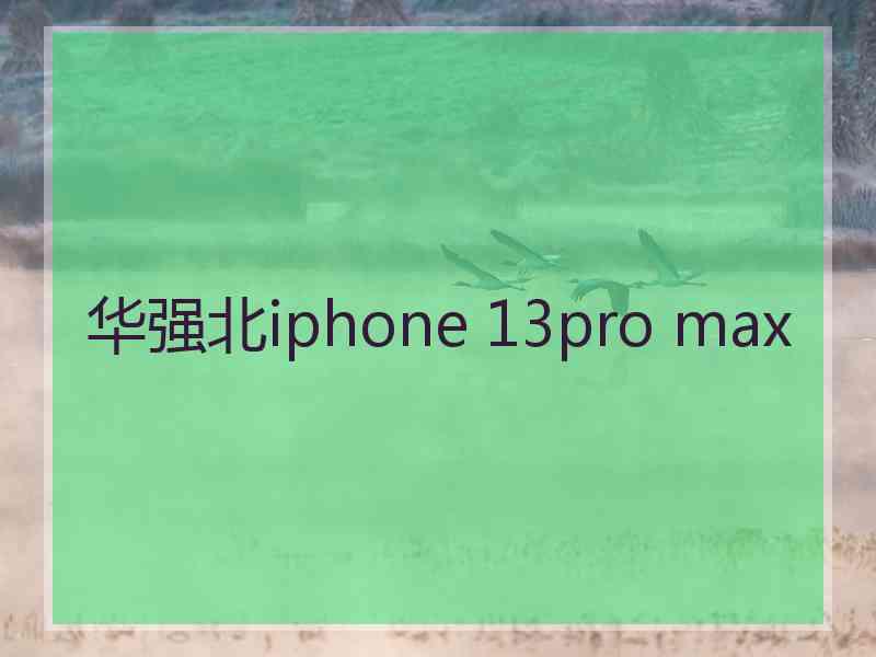 华强北iphone 13pro max