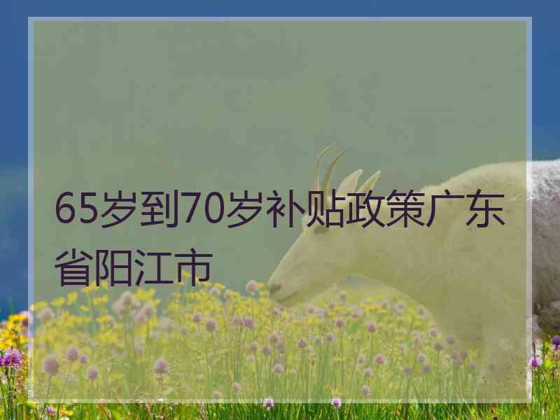 65岁到70岁补贴政策广东省阳江市