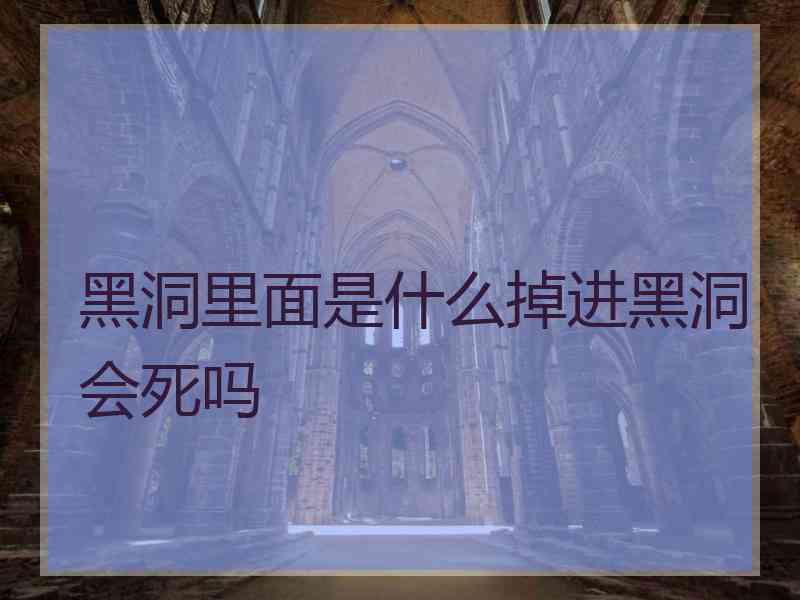 黑洞里面是什么掉进黑洞会死吗