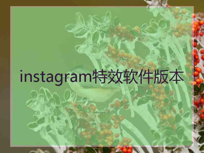 instagram特效软件版本