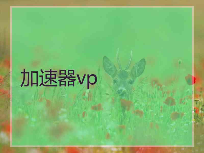 加速器vp