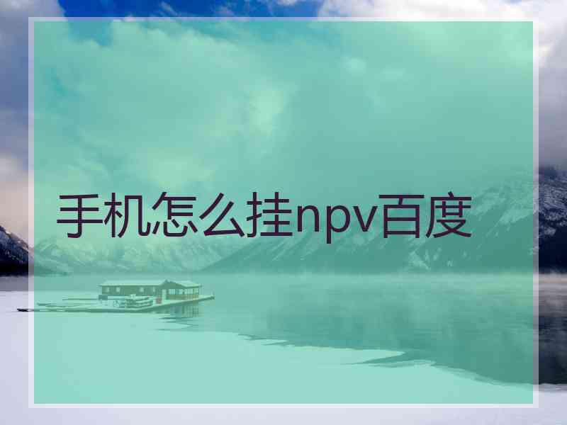 手机怎么挂npv百度