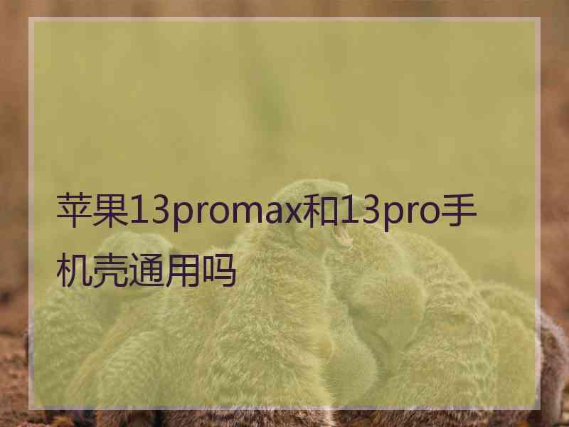 苹果13promax和13pro手机壳通用吗