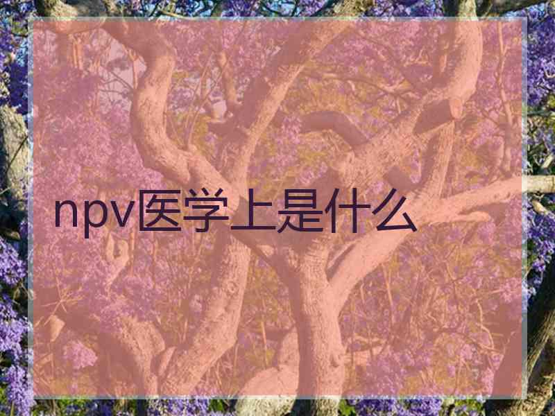 npv医学上是什么