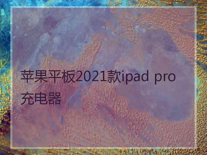 苹果平板2021款ipad pro充电器