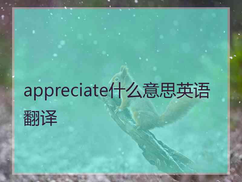 appreciate什么意思英语翻译