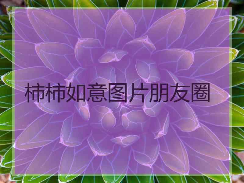 柿柿如意图片朋友圈