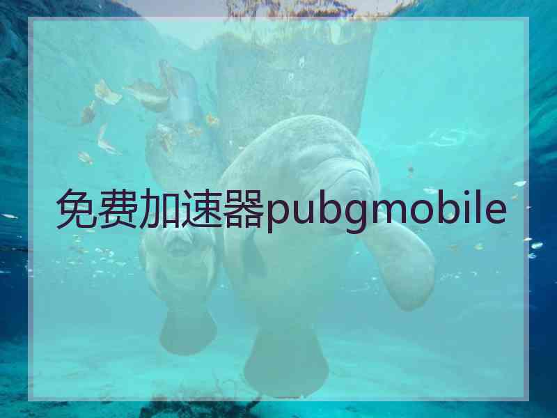 免费加速器pubgmobile