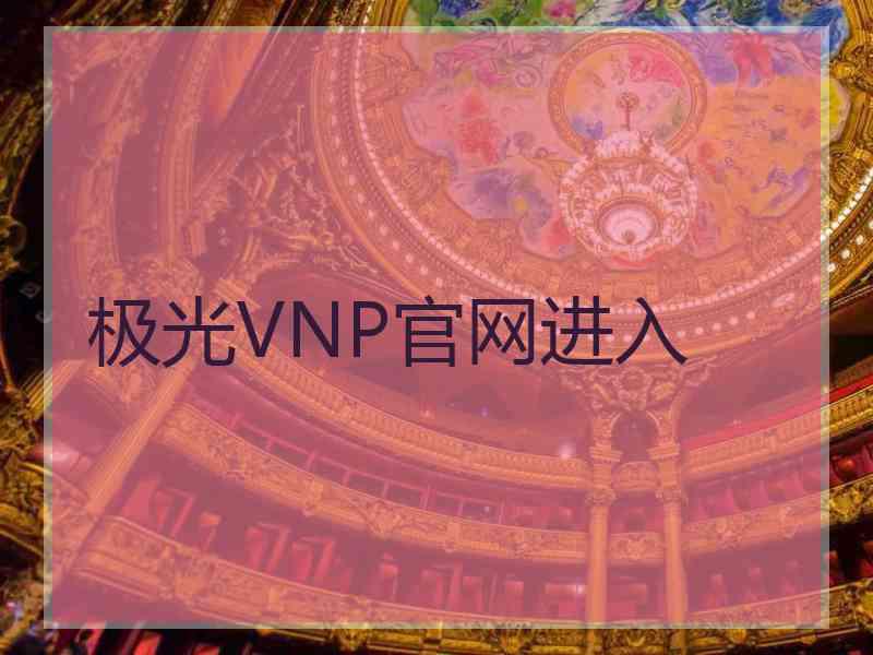 极光VNP官网进入