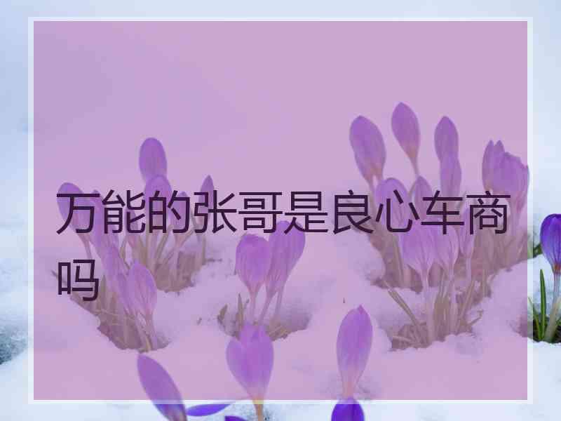 万能的张哥是良心车商吗