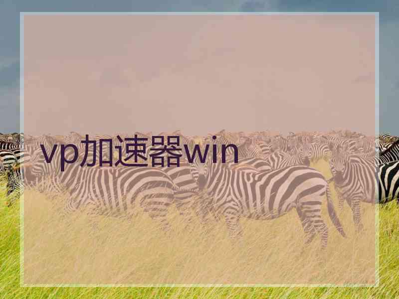 vp加速器win