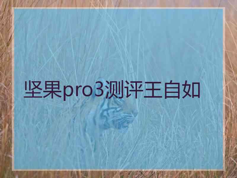 坚果pro3测评王自如