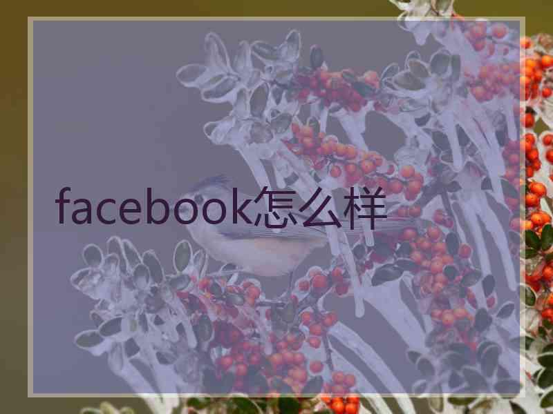 facebook怎么样