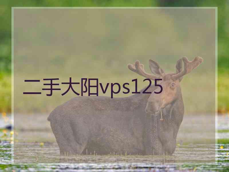 二手大阳vps125