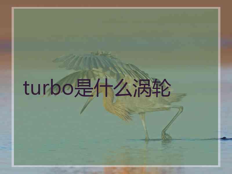 turbo是什么涡轮