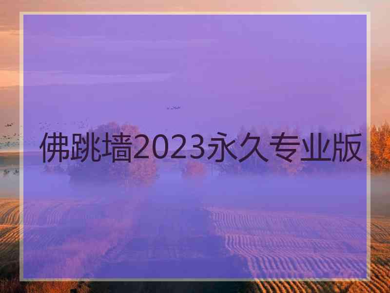 佛跳墙2023永久专业版